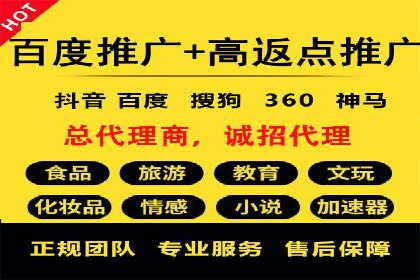 百度广告推广案例解析